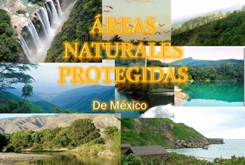 Collage Areas Naturales Protegidas De Mexico www.pagina66.mx