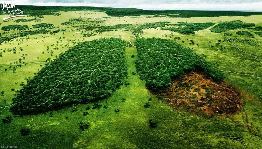 Futuro Sustentable: Seminario en Osorno