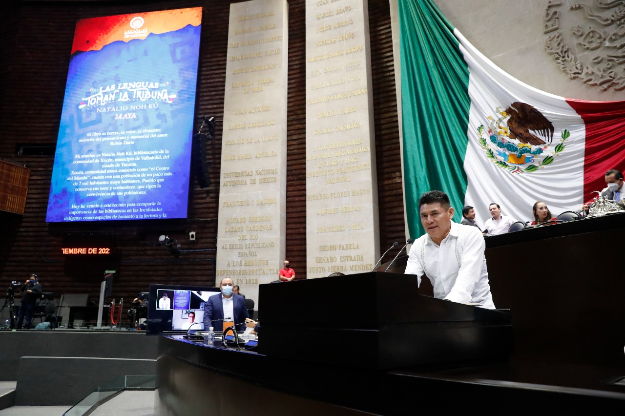 Favorable, bibliotecas con colecciones en lenguas indígenas Página 66